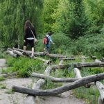 What makes a great school grounds design?