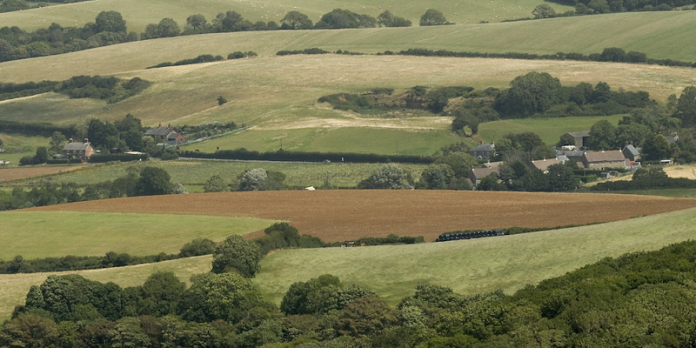 defra-background-crop