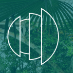 Talking Landscapes is retiring – say hello to LI Connect Connect