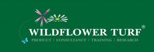 Wildflower Turf - Consultancy