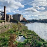 LI comment on Natural England strategy