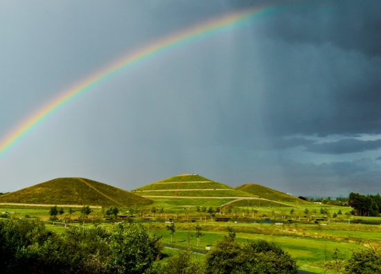 New guide for clients section on website launched